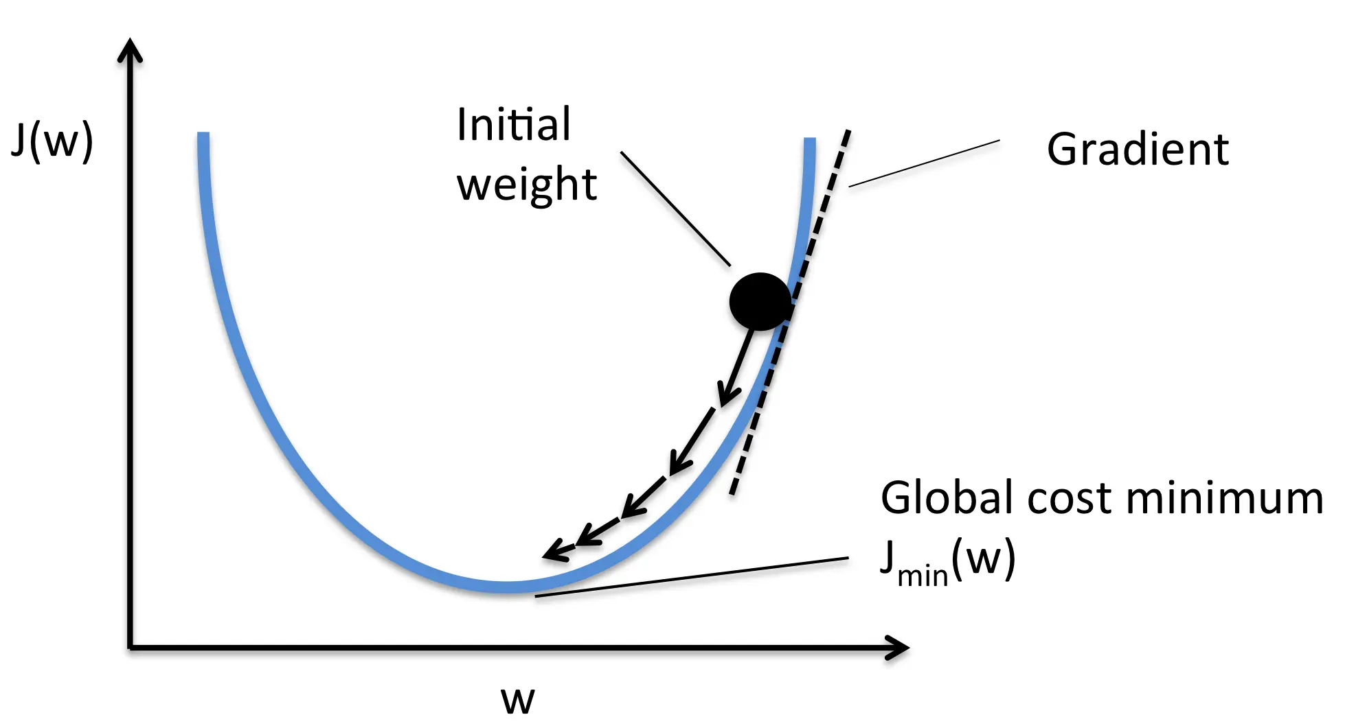 Stochastic Gradient Descent