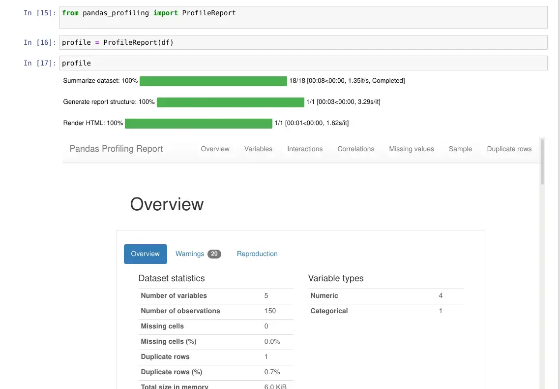 Profiling Output