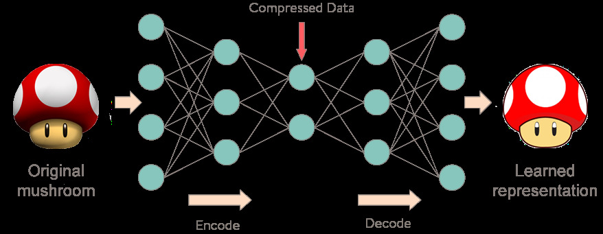 /images/autoencoder.jpg