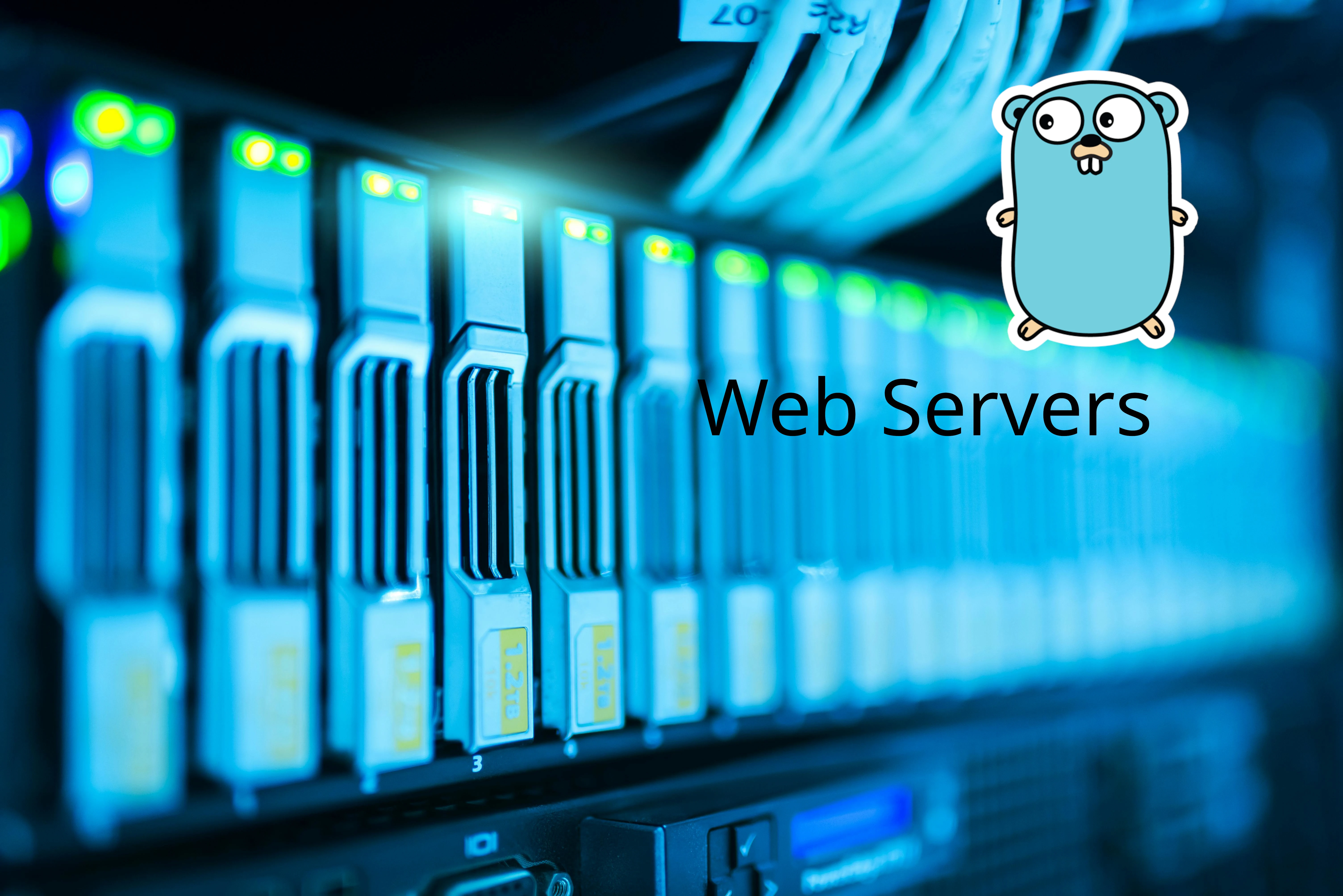 /images/go-web-server.webp